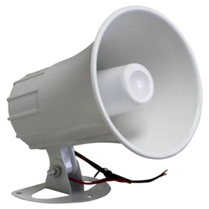 Economy Speaker